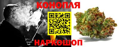 гидра Вязьма