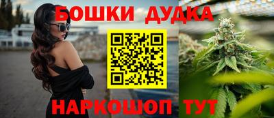 гидра Вязьма