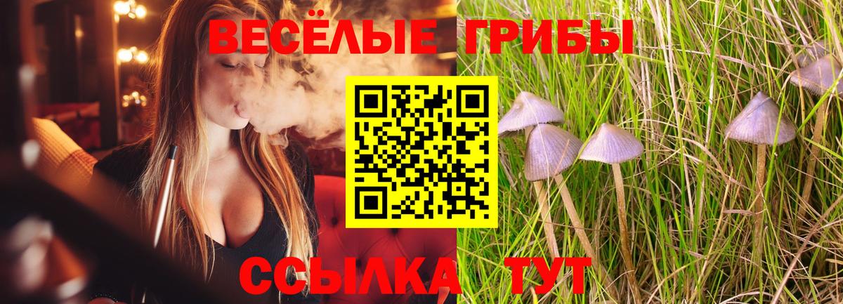 Псилоцибиновые грибы MAGIC MUSHROOMS  Вход с VPN  Бердск  Галлюциногенные грибы мицелий 