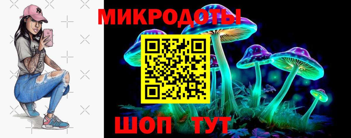 Галлюциногенные грибы Psilocybe Бердск